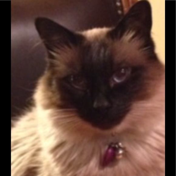 Meet your Posher, Endless - Picture 3 of 3